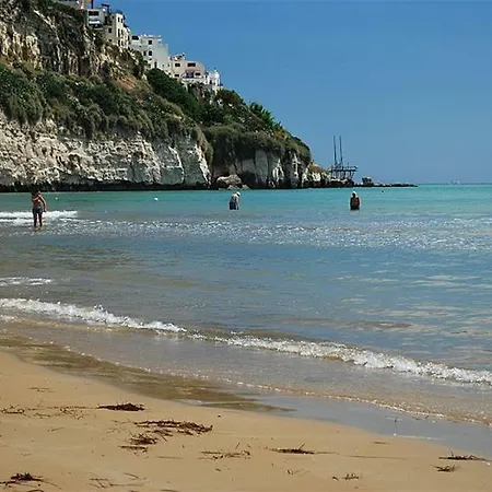 Trilocale 4 Vieste